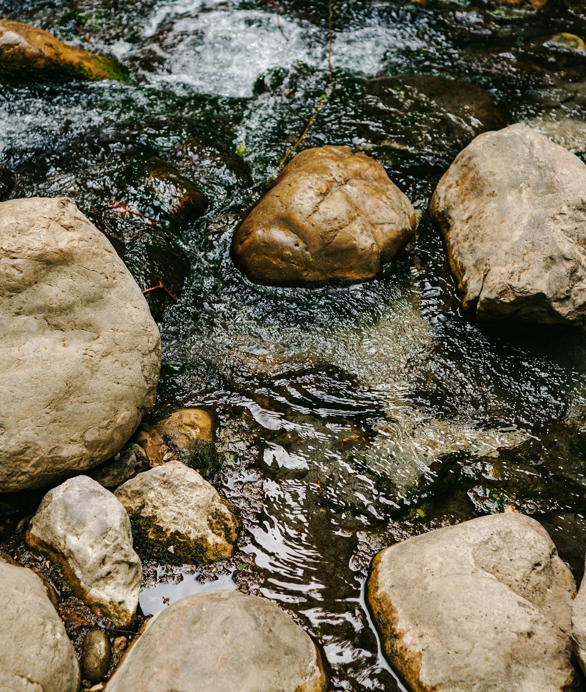 Clear stream water flowing over a rocky streambed